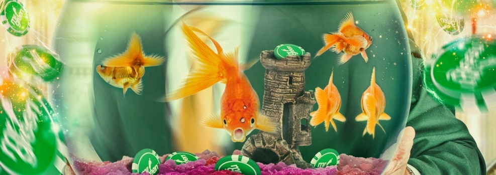 Mr green turniej slotowy golden fish tank 1