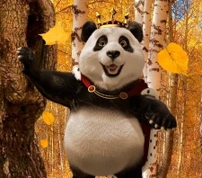 Royal panda darmowe spinu dracula i blood suckers