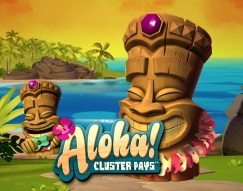Wygrana na aloha w kasynie royal panda 4